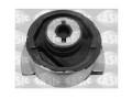 sasic 4005528.JPG