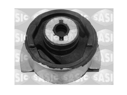 sasic 4005528.JPG