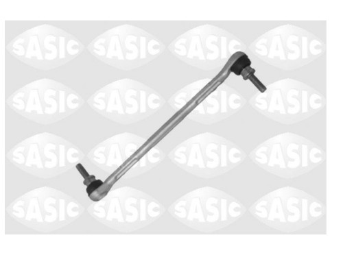 sas 2304019 .JPG