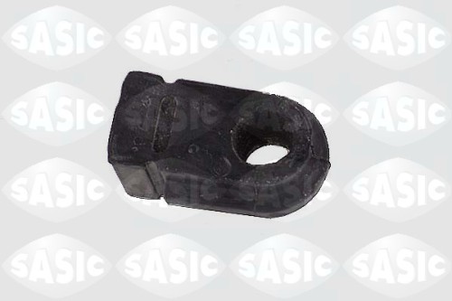 sas 4005150.JPG