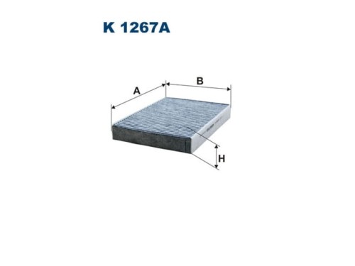 fil 1267a.JPG