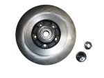 Tarcze hamulcowe Laguna III tył Meilleur 432027112R