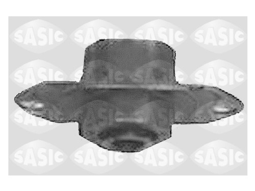 sas 4001823.JPG