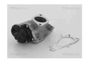 Zawór EGR Megane II Triscan 8813 25012