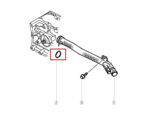 Uszczelka rury wody Clio II Kangoo 1.4 8V Renault 7703065311