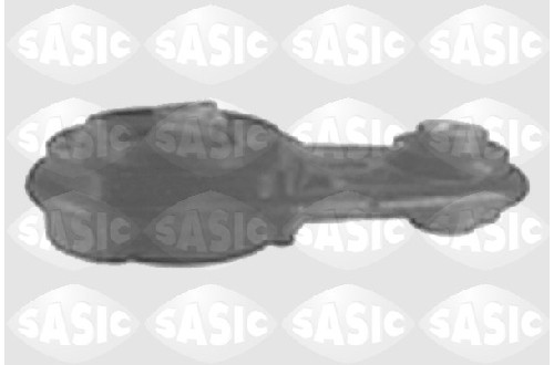 sas 4001717.JPG