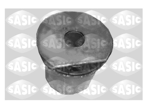 sas 4005526.JPG