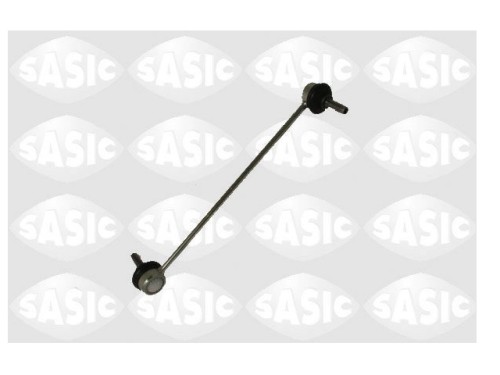 sas 2304011.JPG