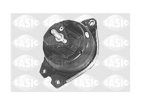 sas 4001832.JPG